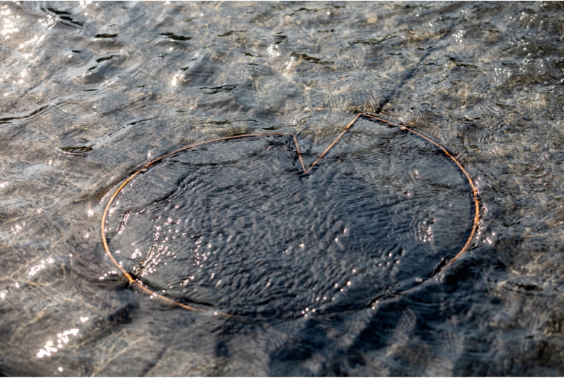 杭州中心四季酒店-12